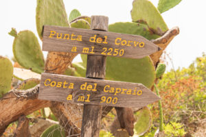 Sicily - Sunny impressions of the Aeolian Islands, also known as Aeolian Islands or Isole Eolie: Lipari, Stromboli, Salina, Vulcano, Panarea, Filicudi and Alicudi. Wooden signpost to Punta del Corvo and Costa del Capraio, Panarea. Prickly pears in the background. Sicily - Sunny impressions of the Aeolian Islands, also known as Aeolian Islands or Isole Eolie: Lipari, Stromboli, Salina, Vulcano, Panarea, Filicudi and Alicudi. Wooden signpost to Punta del Corvo and Costa del Capraio, Panarea. Prickly pears in the background.